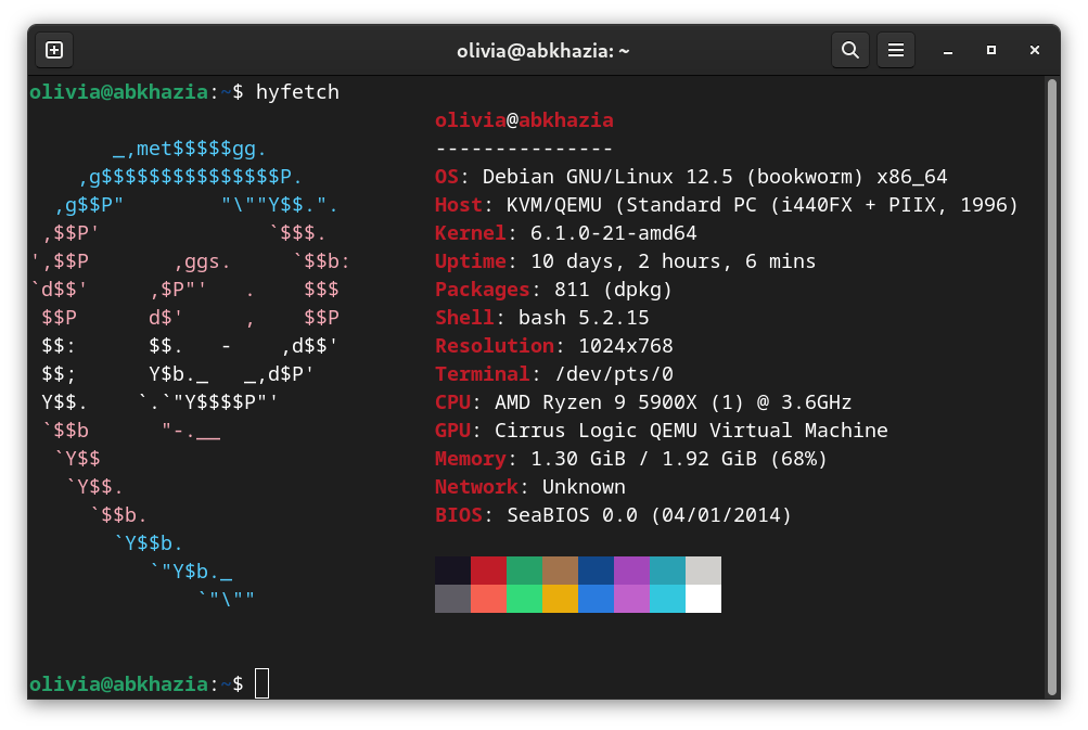 hyfetch output from my VPS. it has one core of a Ryzen 3900x and 2 GB RAM.